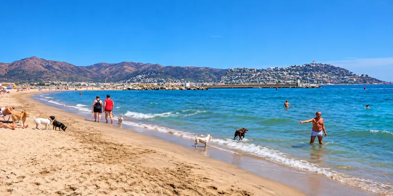 Hondenstrand empuriabrava op Rubina