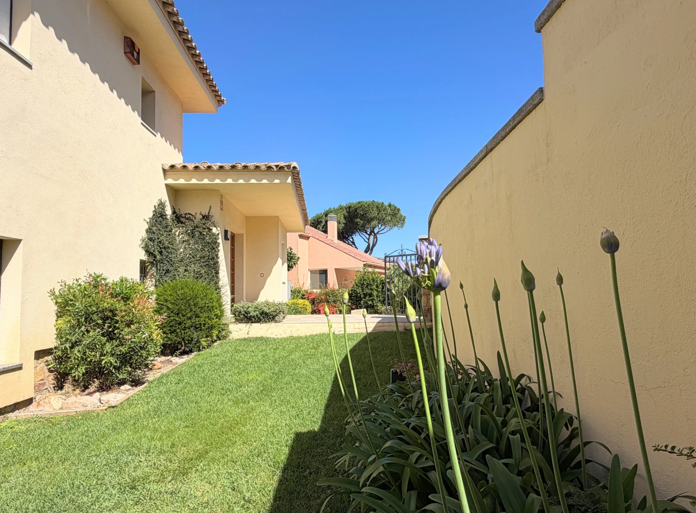 018 Villa Alegre