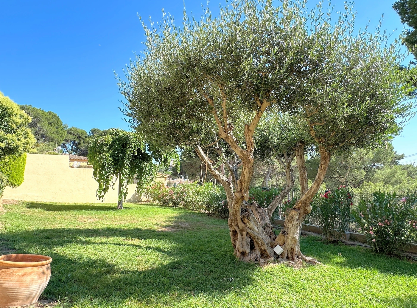 082 Villa Alegre