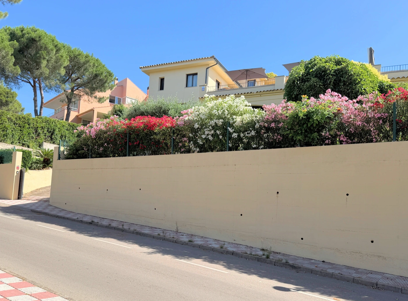 089 Villa Alegre
