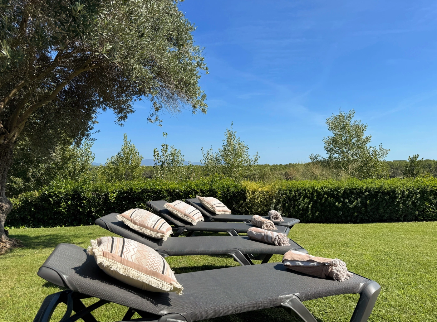 015 Villa Luna