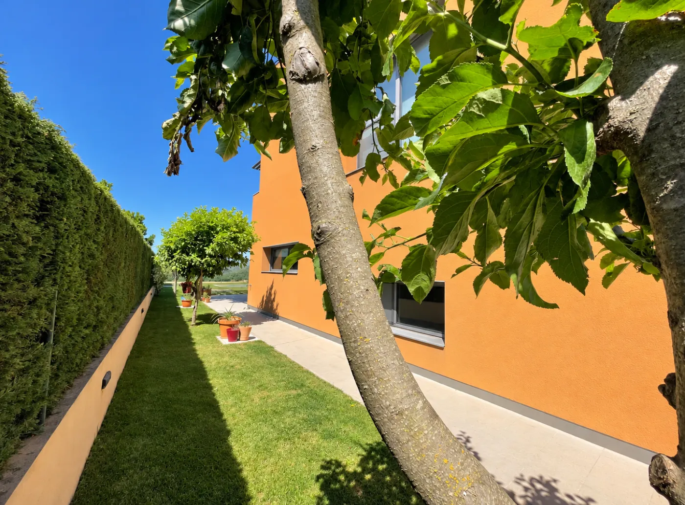 023 Villa Rosé