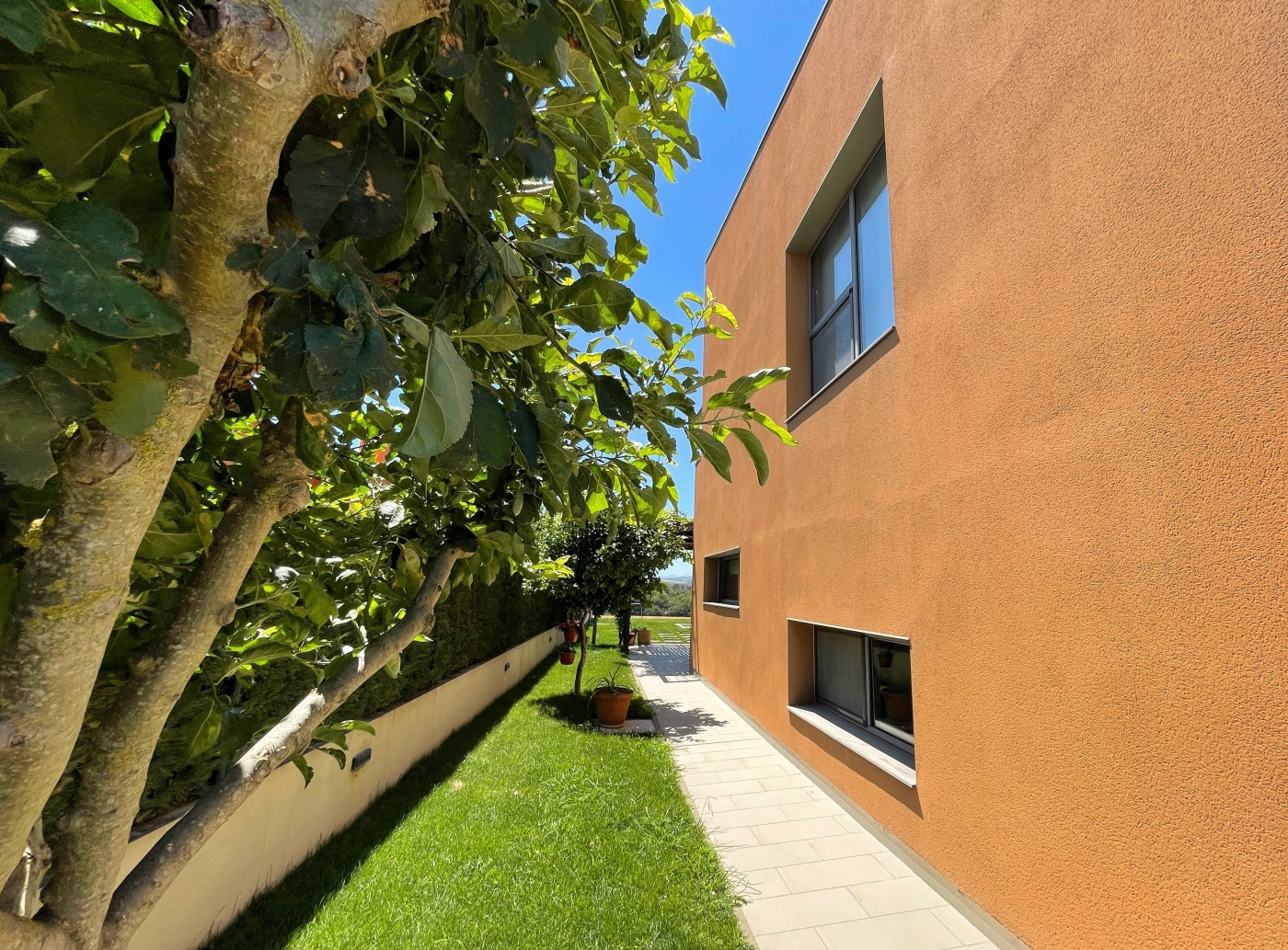 024 Villa Rosé