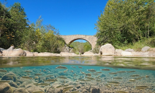 Sant Llorenç de la Muga bezoeken Costa Brava