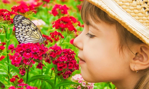 Butterfly Park Empuriabrava Bezoeken