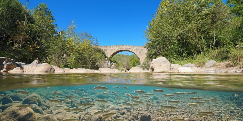 Sant Llorenç de la Muga bezoeken Costa Brava