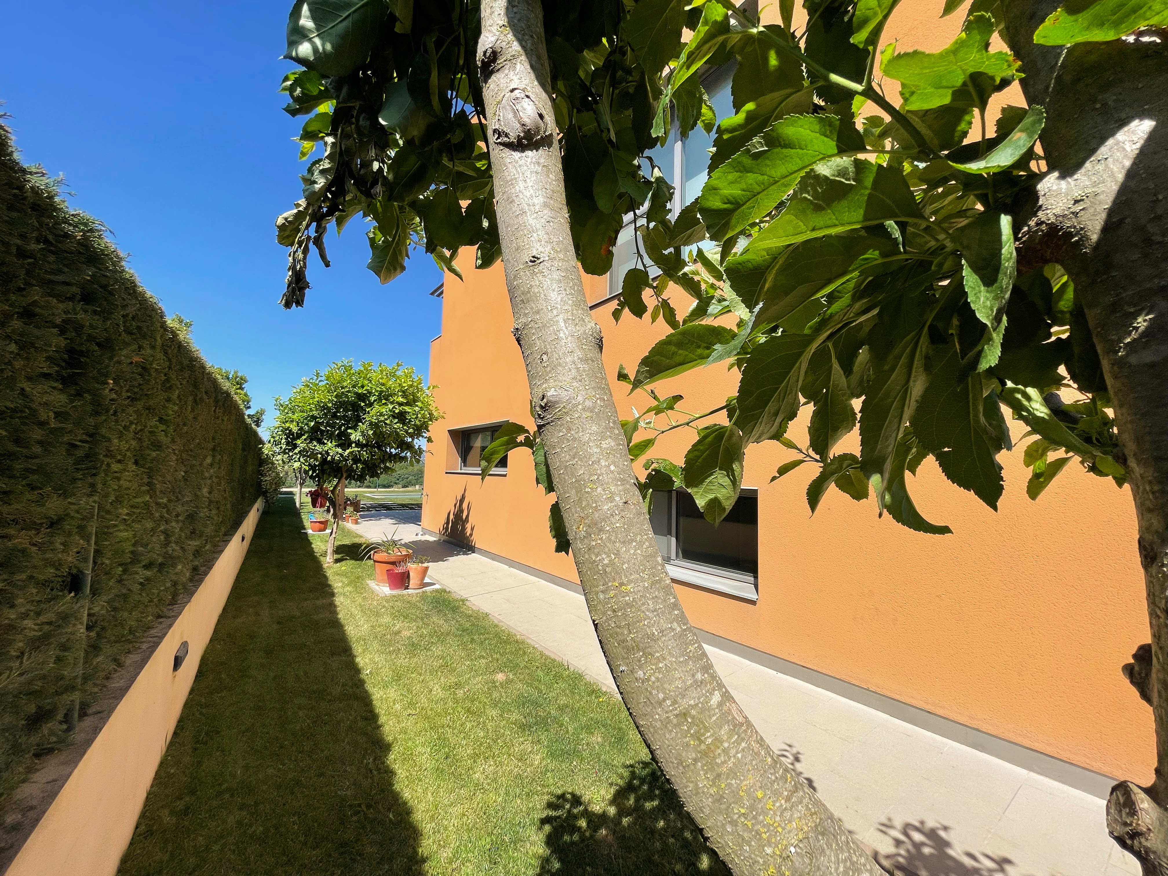 023 Villa Rosé